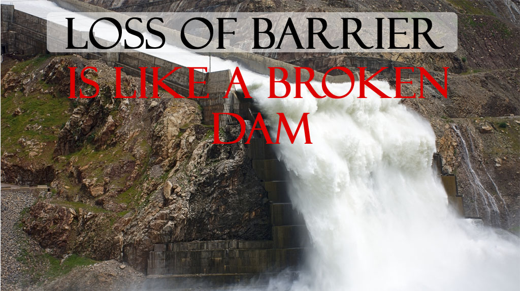 barrier funtion loss Barrier function loss