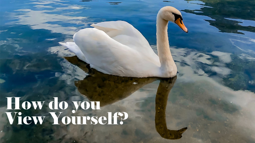 how do you view yourself