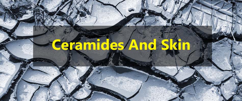 Ceramides